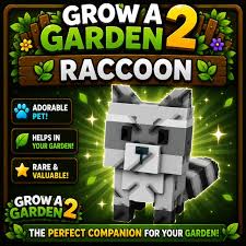 raccoon x1